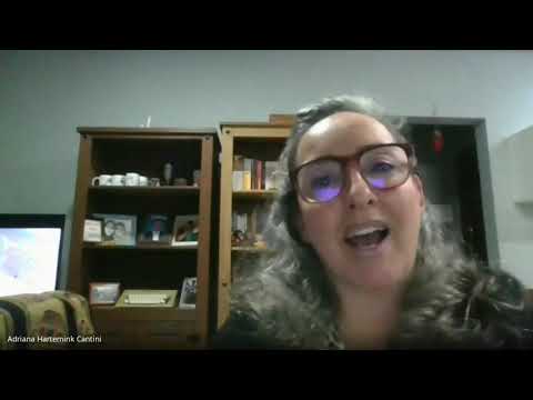 O Sistema Internacional de Proteção aos Direitos Humanos