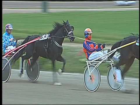 Trotto 18/11/2016 - 1ª corsa