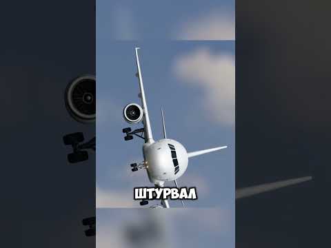 Пилот допустил ошибку которая стоила жизней @relegatedanimator