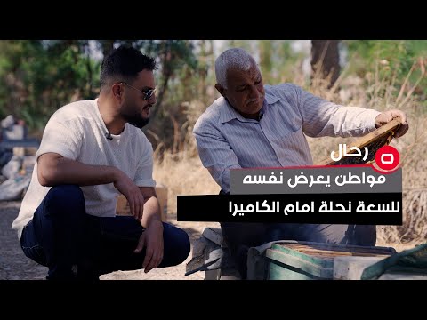 شاهد بالفيديو.. "سمها يحتوي على حامض الفورميك"... مواطن يعرض نفسه للسعة نحلة امام الكاميرا