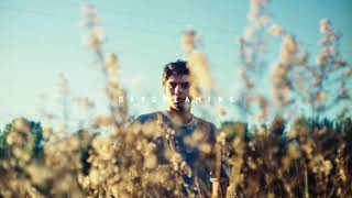 S. Carey - Brassy Sun