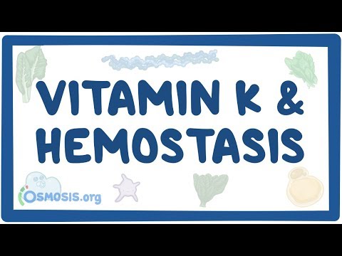 Potassium homeostasis an Osmosis Preview
