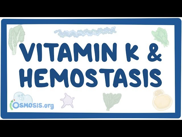 Video Aussprache von vitamin K in Englisch