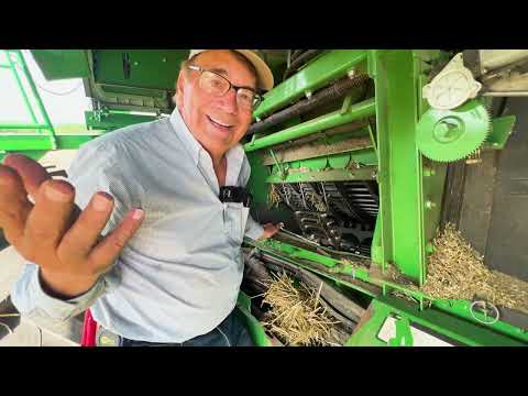 Marion's Tips for Harvesting Wheat