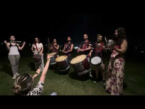 Borboletas - RINOBLOCO 2024