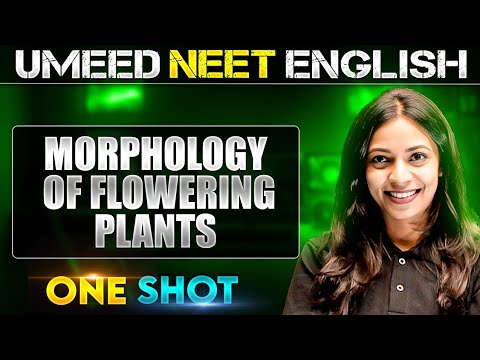 MORPHOLOGY OF FLOWERING PLANTS in 1 Shot | All concepts Covered | UMEED NEET in Pure English