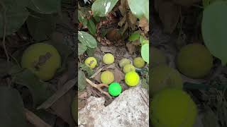 Download lagu Best of day of life❤️🫶🏻 #nostalgia #childhoodmemories #90skids #relatable mp3 Download lagu Best of day of life❤️🫶🏻 #nostalgia #childhoodmemories #90skids #relatable mp3