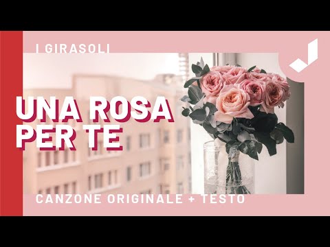 UNA ROSA PER TE - I Girasoli (Canzone originale + Testo)