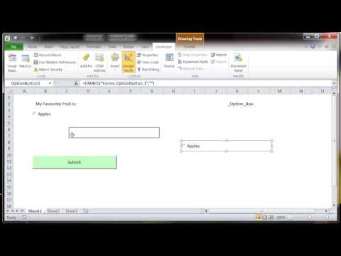 Excel 2010 VBA Tutorial 59   ActiveX Controls   Option Button