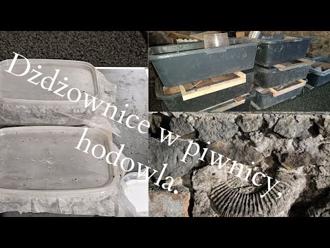 Jak one urosły!!! Ciąg dalszy odcinka "....na początek: 10 dżdżownic" 💥