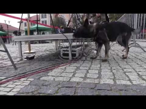 Lubuscy policjanci zabezpieczali wizytę Prezydenta RP