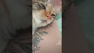 Muito amor envolvido!!