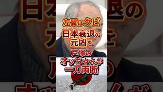 日本衰退の元凶を一刀両断#政治 #リベラル #左翼