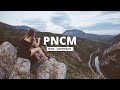 Niya A Bloom Vlog No Copyright Music