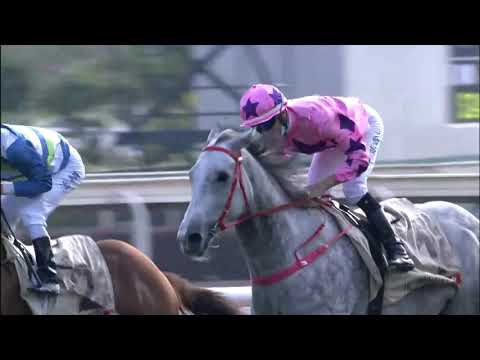 24/1/2021 (368) Hot King Prawn- J Moreira (G1 The Centenary Sprint Cup)