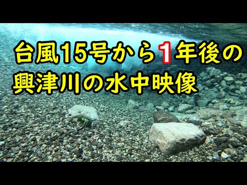 Vídeo subaquático 4K do rio Okitsu um ano após o tufão nº 15 em 2022 #you Valley, #amago, #char