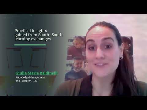 Knowledge Management and South-South Exchange