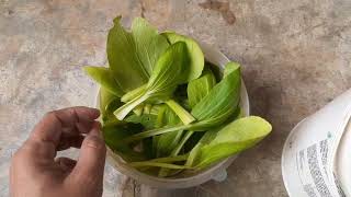 Download lagu TIPS PERAWATAN SELEPAS TELUR ZONK DAN SAYURAN SEHAT TANPA RACUN‼BLACKTHROAT‼ mp3