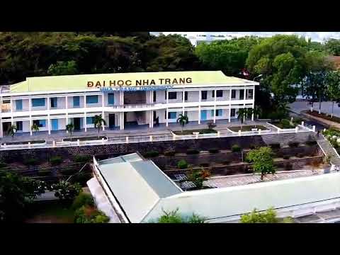 Thể hiện bởi Đàm Vĩnh Hưng