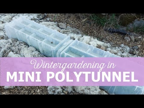 Minitunnel av hårdplast för vinterodling