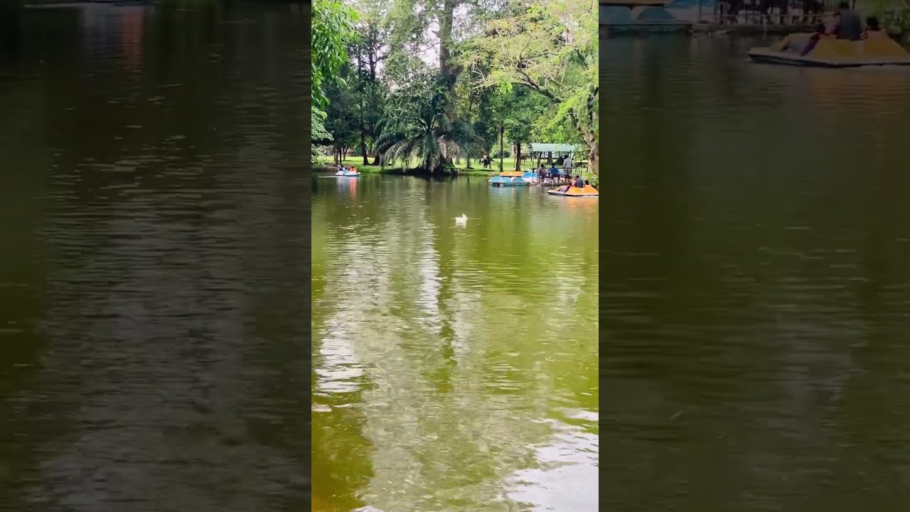 YouTube Short thumbnail