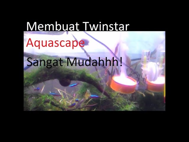 Membuat Twinstar Aquascape Sendiri dengan Mudah menggunakan Seal Tape | Scaper's Vlog