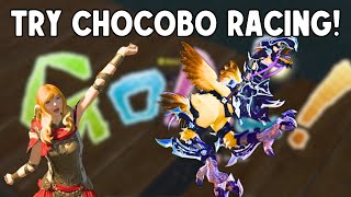 FFXIV Chocobo Racing & Breeding 101 - The Basics