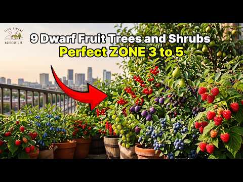 9 Dwarf Fruit Trees and Shrubs perfect ZONE 3 to 5