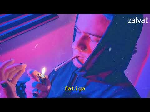 Zaly - fatiga (Audio)