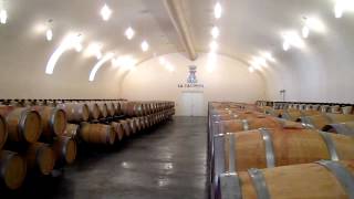 preview picture of video 'Wine Tour Bordeaux: The barrel cellar at a prestigeous Bordeaux wine chateau'