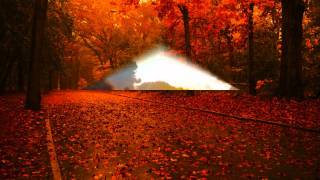 ✿⊱╮♥JUST ANOTHER WOMAN IN LOVE - ANNE MURRAY✿⊱╮♥