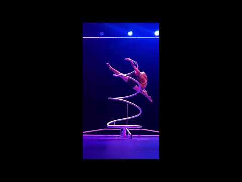 Aerial Artistry
