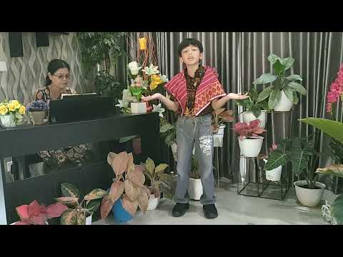 Oh Andiko Jilena Cover by Rivaldo Ginting