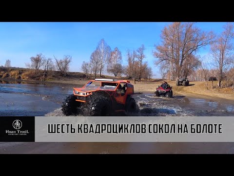Шесть квадроциклов Сокол на болоте! Обзор Сокол - Пикап. Сравнение шин Авторос и Трэкол.