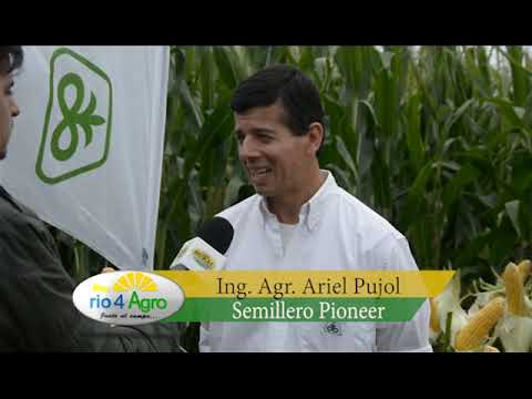 PROGRAMA RIO 4 AGRO 25 04 BLOQUE 1