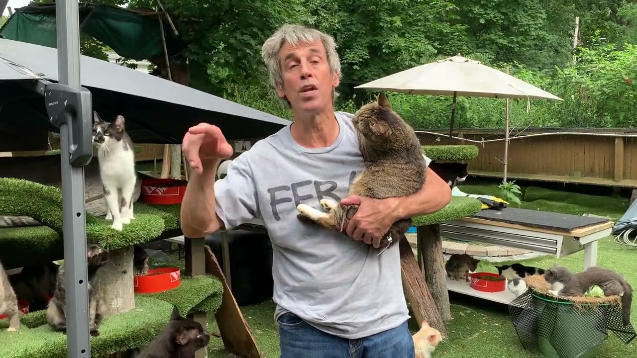 Happy cat sanctuary moving update!