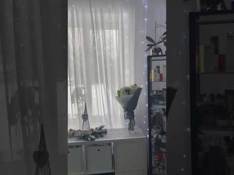 Studio ELENA Olekhnovich