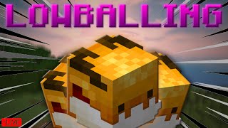 Lowballing to 100 Trillion in Hypixel Skyblock LIVE