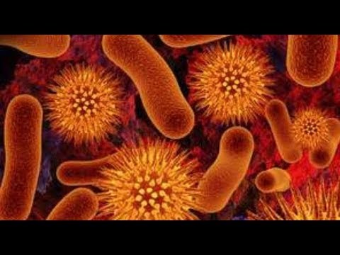 Giardia bacteria symptoms