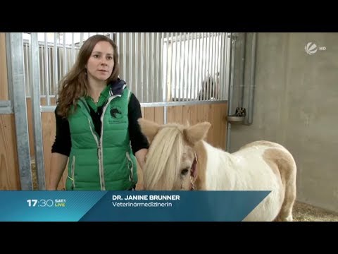 Equinox Healthcare auf 17:30 SAT.1 Live vom 03.11.2017 - Krebstherapie für Pferde, Hufkrebs