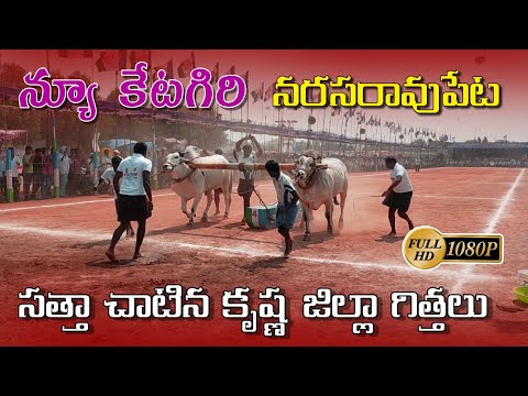 kallam anusha reddy | New category |4000.10ft |Narasaropeta 2022 Full HD | Got 4th place |#nhmedia