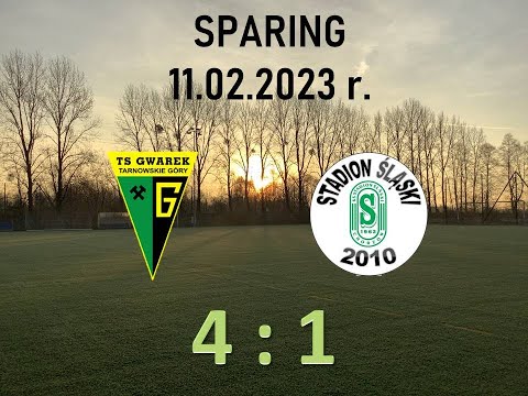 Gwarek Tarnowskie Góry 2010 - Stadion Śląski 2010 - sparing - 4:1