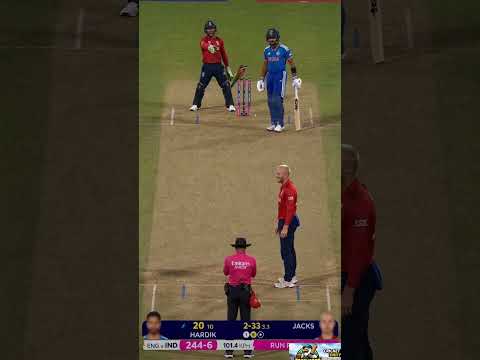 Bird Interrupted the Bowler... Then Started Coaching the Batsman! 😂🏏 #cricket #batsman#birds