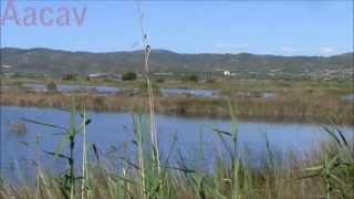 preview picture of video '2013-06-02-Do Excursion Aacav Prat Cabanes (Castellón)'