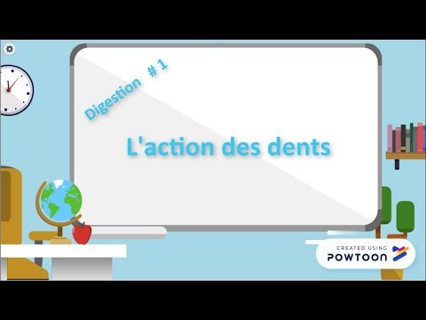 Digestion # 1 Action des dents