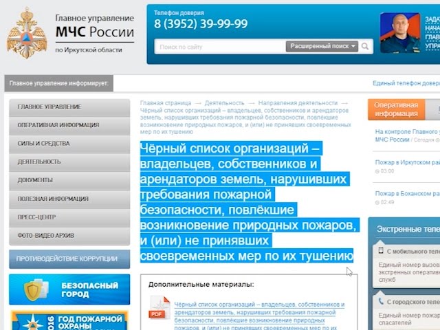 В МЧС назвали виновников лесных пожаров?