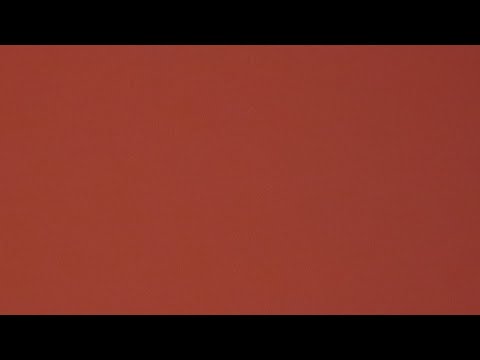 2⁰ Dia Da Campanha A Maldição Foi Quebrada!