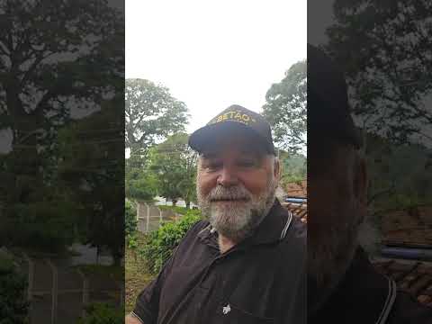 Propriedade Rural à Venda 24.200m2 em Andradas MG Com Cultivo de Bananas e Casa 2 Dormitórios.