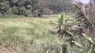 preview picture of video 'Dijual Tanah di Sentul, Bogor'