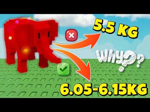 This Pet Can Break the 5.5kg Limit!? Rainbow Elephant Full Guide
